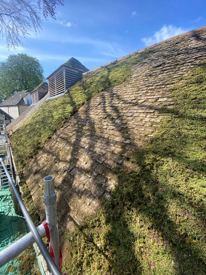 Roof heavily covered in moss before cleaning – part of before, during, and after comparison